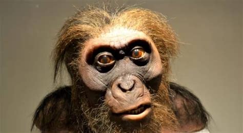 Kemampuan Bicara Manusia Purba Neanderthal Mirip Orang Modern Review Link Bo Togel Indonesia 2024