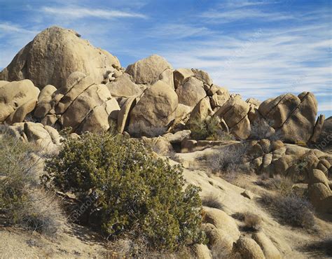 Joshua Tree Rock Formations - Stock Image - C009/2222 - Science Photo Library