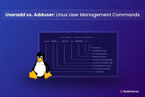 Useradd Vs Adduser Understanding The Key Differences