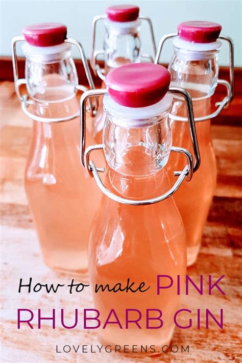 Easy To Make Pink Rhubarb Gin Recipe Lovely Greens