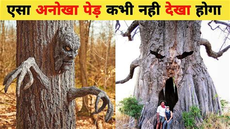 Top 10 Most Unusual Trees In The World। एसा अनोखा पेड़ देखने के लिए