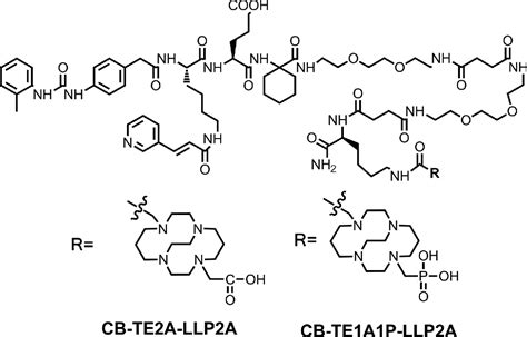 Figure From Comparison Of Two Cross Bridged Macrocyclic Chelators For