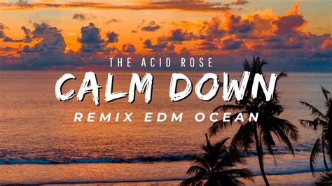 Rema Selena Gomez Danny Ocean Calm Down Me Rehuso Remix EDM