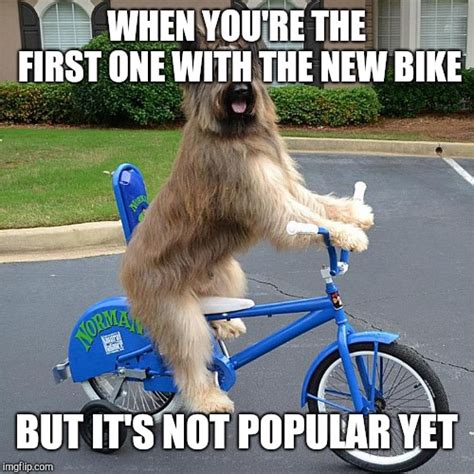 Image Tagged In Dogebike Imgflip