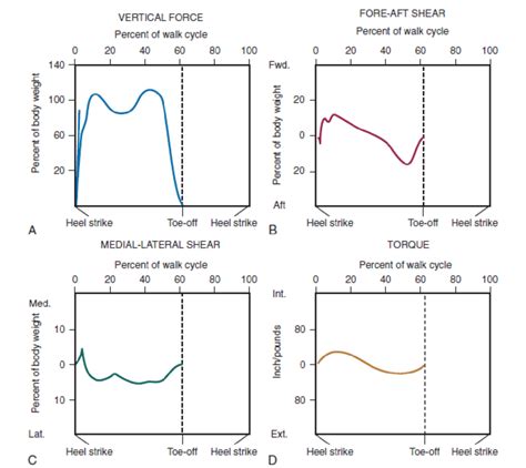 Ground Reaction Force Recorded By Force Plate In Walking Gait A