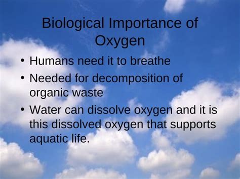 4 The Oxygen Cycle Ppt