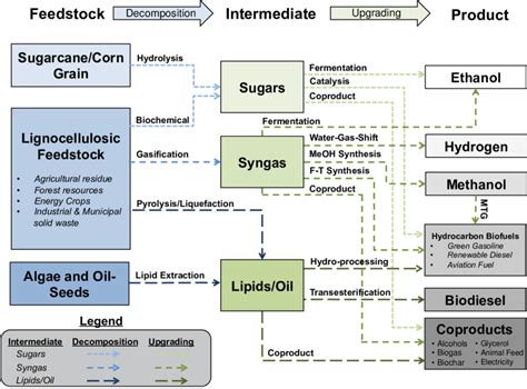 Feedstocks And Conversion Pathways For Biofuel Production MTG