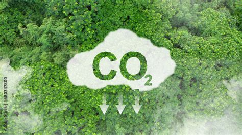 Reduce Greenhouse Gas Emission Concept Carbon Footprint Climate Change