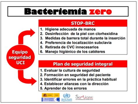 Tema Actuaci N De Enfermer A En Los Cuidados De Accesos Vasculares