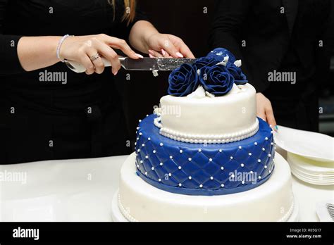 Cake Cutting Wedding Man Women Table Home Apparel Attire Being