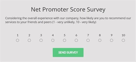 Free Net Promoter Score Survey Template 123FormBuilder