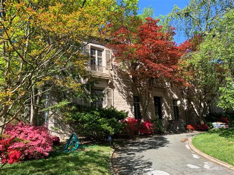 Magnificent Massachusetts Avenue Heights Starts On 5 16 2024