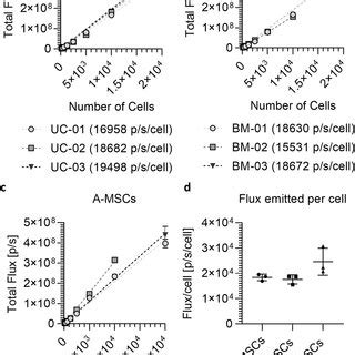 Application Of The Deae Dextran Protocol To Transduce Mscs With Four