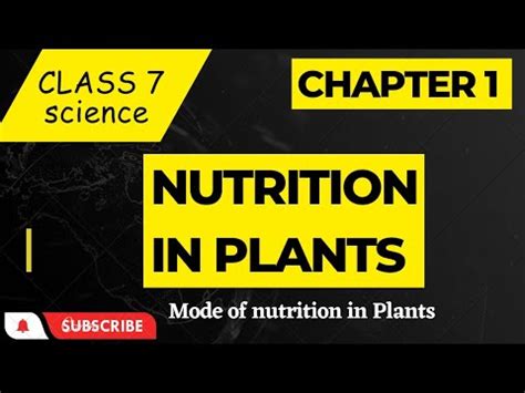 Nutrition In Plants Class Science Chapter Ncert Autotrophic And