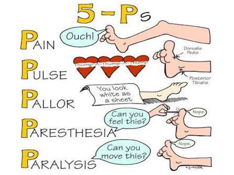 Neurovascular Assessment