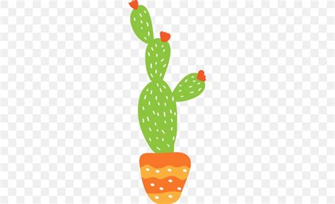 Cactaceae Drawing Prickly Pear Illustration PNG 500x500px Cactaceae