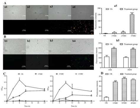 Molecules Free Full Text Antibacterial Effect Of Cell Free