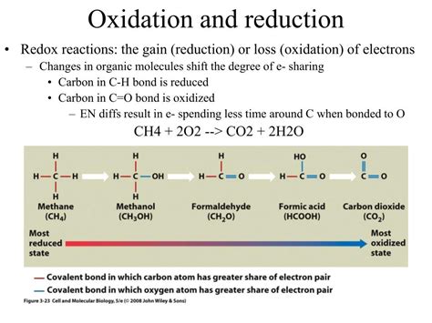 Ppt Metabolism Powerpoint Presentation Free Download Id1951777