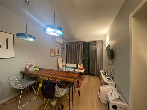 Shanghai Minhang Long Short Term Seeking Flatmate Shared Apartment