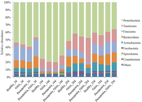 Mean Relative Abundance Of The Most Prevalent Bacterial Phyla