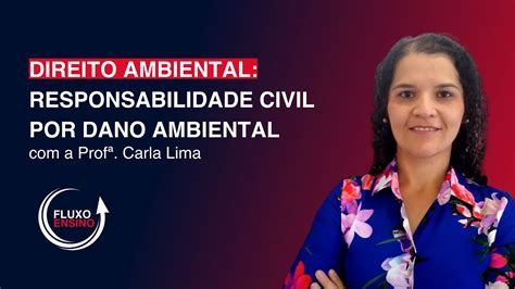 Direito Ambiental Responsabilidade Civil Por Dano Ambiental Youtube