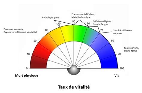 Taux De Vitalit Un Pourcentage Pour Conna Tre Le Potentiel De Vie