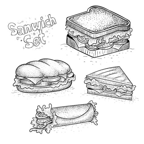 Premium Vector Hand Drawn Style Sandwich Illustrations Free Vectors