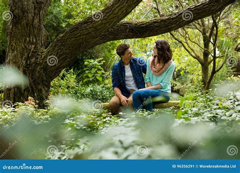 Romantic Couple Interacting With Each Other In Garden Stock Image