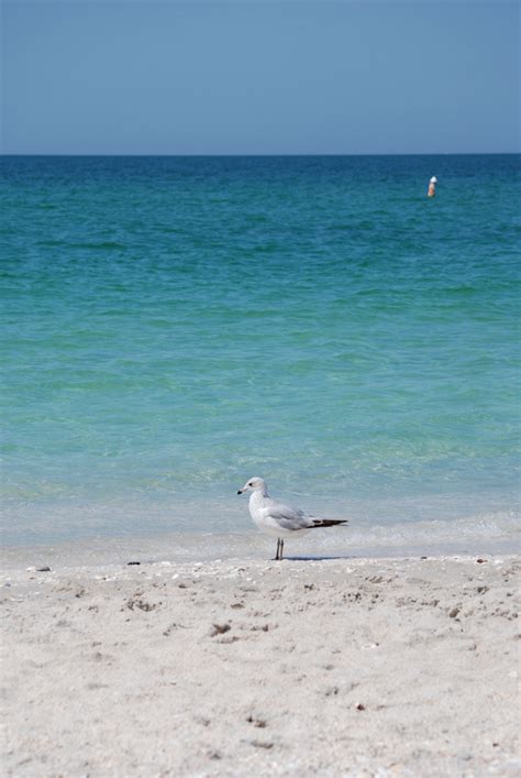 Hamtpons Beaches - Beautiful Waters on One of Long Island's Most Iconic ...