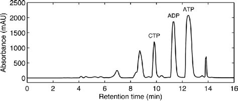 Chromatogram Of Semi Preparative Scale Purification Of 4′ 2 H Ctp By