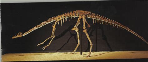 Dinosauro Enriquerubio Net