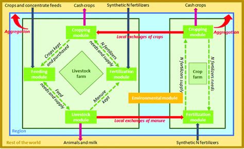 Conceptual Diagram Of The Synergy Model Adapted From Jouan Et Al