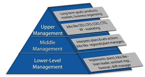 Types Of Management Boundless Business