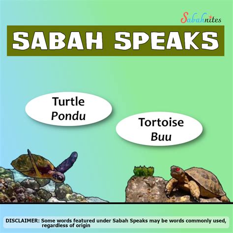 19 Sabah Speaks Sabahnites Your Ultimate Sabah Guide