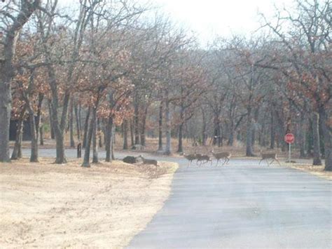 Twin Points Campground Skiatook Oklahoma Us Parkadvisor