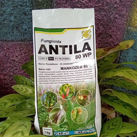 Jual Fungisida Antila Wp Kg Shopee Indonesia