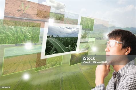 Photo Libre De Droit De Ito Internet Des Objets Smart Agricoles