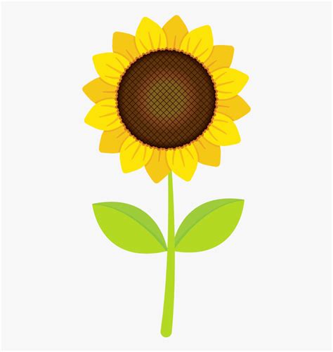 Sunflower Plant Clipart Images