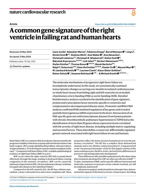 Pdf A Common Gene Signature Of The Right Ventricle In Failing Rat And