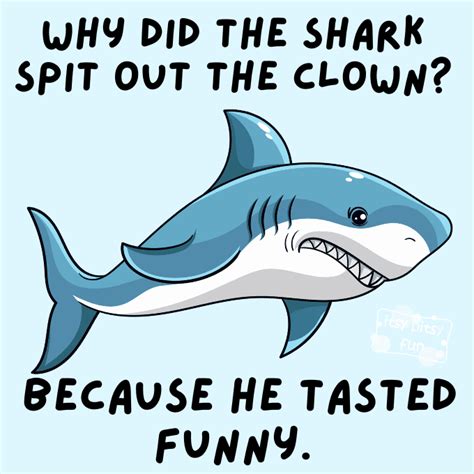 25 Shark Puns And Jokes For Kids Itsy Bitsy Fun