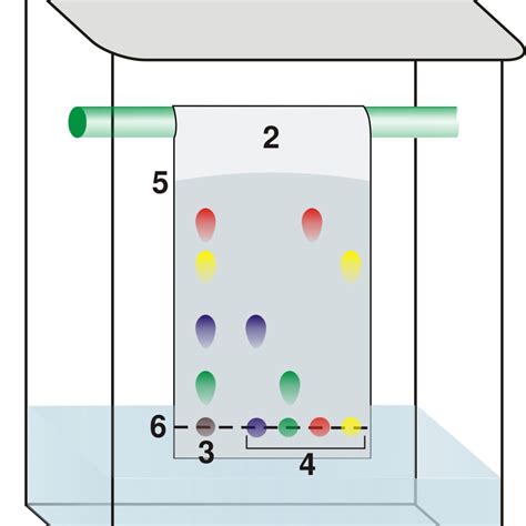 Candy Chromatography Results | Chemistry Labs