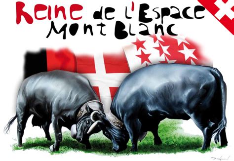 Fédération Suisse d élevage de la Race d Hérens Combat de reines