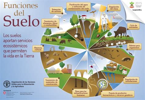 Día Internacional De La Conservación Del Suelo Centro De Educación Ambiental De Casa De Campo