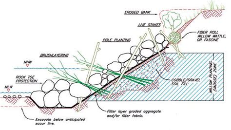 Bioengineering Materials Selection And Planting Ernst Conservation Seeds Landscaping On A