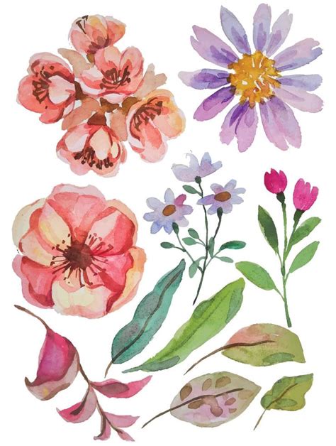 Watercolor Flower Elements Clipart 11954420 Vector Art At Vecteezy