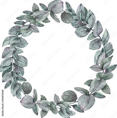 Watercolor Eucalyptus Wreath Frame Clipart Winter Cotton Flower