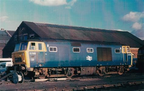 Br Hymek Class 35 D7100 At Old Oak Common Not My Photo A Flickr