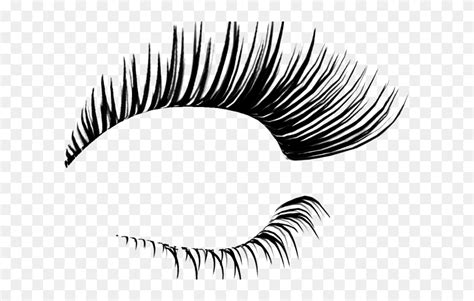 Long Clipart Eye Lashes - Eyelashes Transparent - Png Download (#5467322) - PinClipart