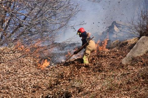 Fiamme Nei Boschi Della Valle Morobbia Elicotteri In Azione