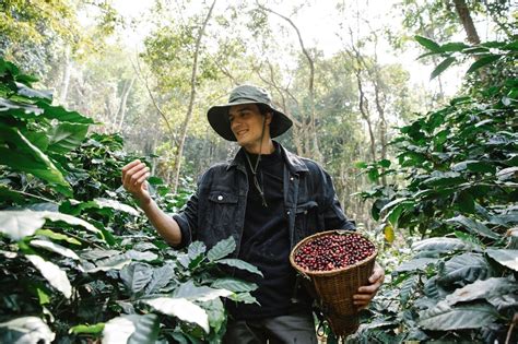 Kenali Perbedaan Proses Pasca Panen Dalam Pengolahan Kopi Shoveken